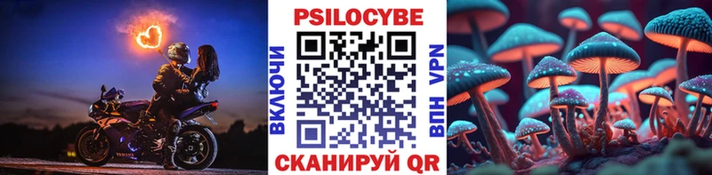 Псилоцибиновые грибы ЛСД Северобайкальск